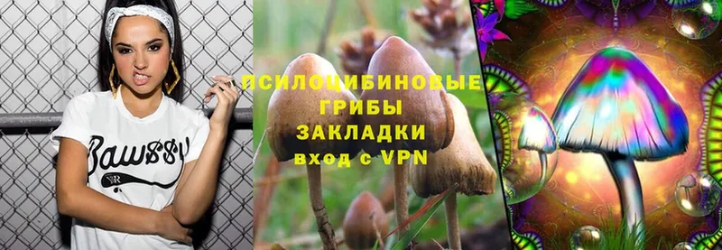 Псилоцибиновые грибы Magic Shrooms  сколько стоит  Бакал 